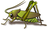project_grasshopper